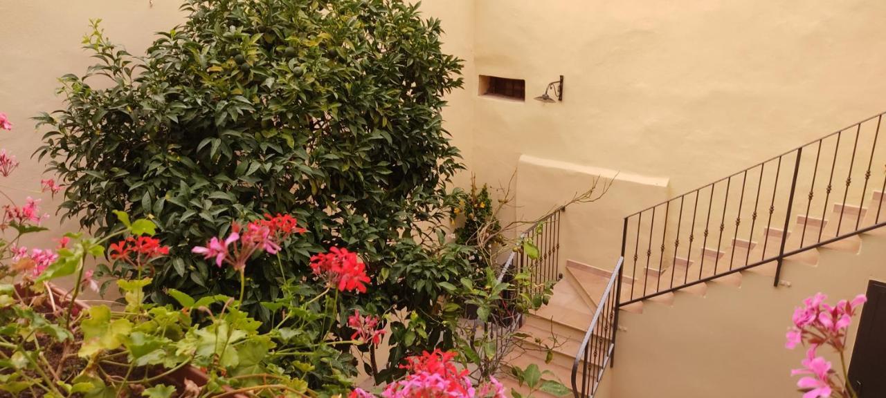סורסו Domo Antiga Guest Rooms מראה חיצוני תמונה