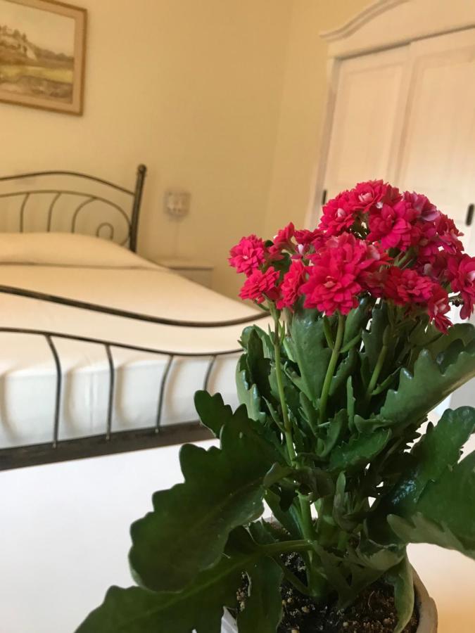 סורסו Domo Antiga Guest Rooms מראה חיצוני תמונה