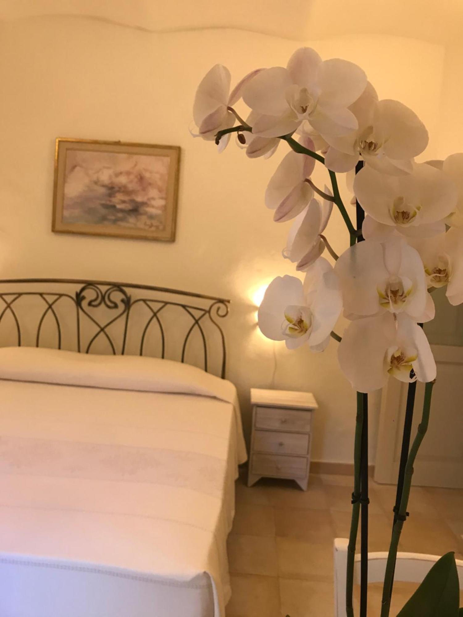 סורסו Domo Antiga Guest Rooms מראה חיצוני תמונה